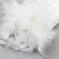 Angeliki Feathered  Top and Mini SKirt