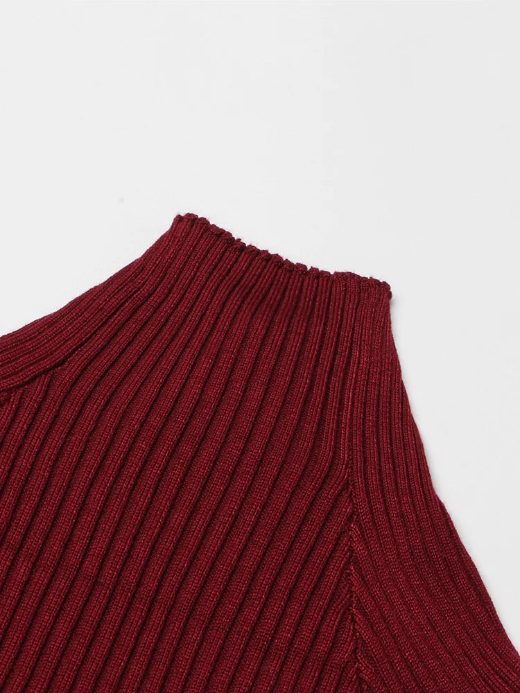 Zoe Solid  High Collar Midi Dress